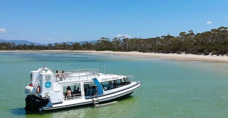 From Hobart: Day Trip to Maria Island With Hotel Pickup - Key Points