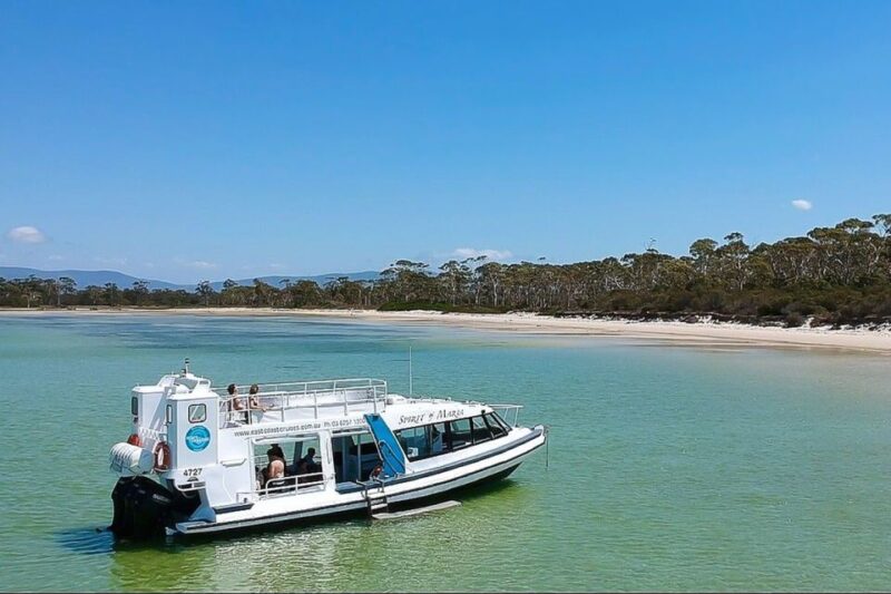From Hobart: Day Trip to Maria Island With Hotel Pickup - Cruise and Exploration