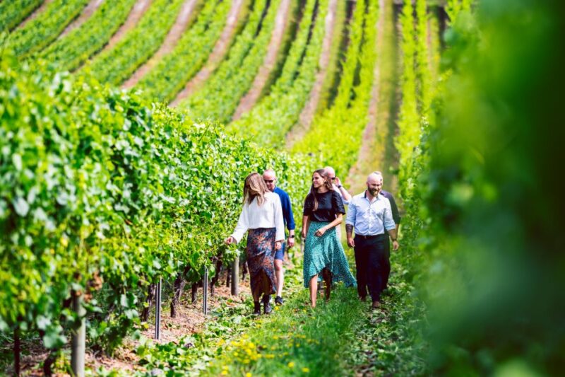 From Hobart: Full-Day Wine, Cider, Beer, and Whiskey Tour - Destinations and Activities