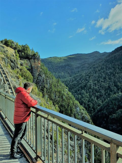 From Hobart: Gordon Dam and Lake Pedder Wilderness Day Tour - Inclusions and Exclusions