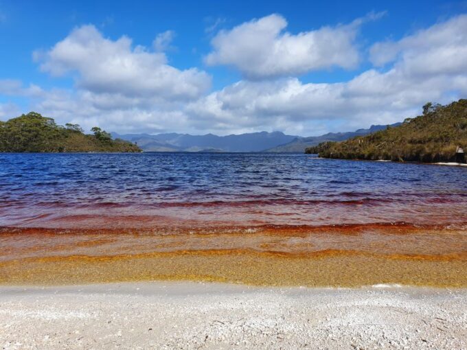 From Hobart: Gordon Dam and Lake Pedder Wilderness Day Tour - Frequently Asked Questions