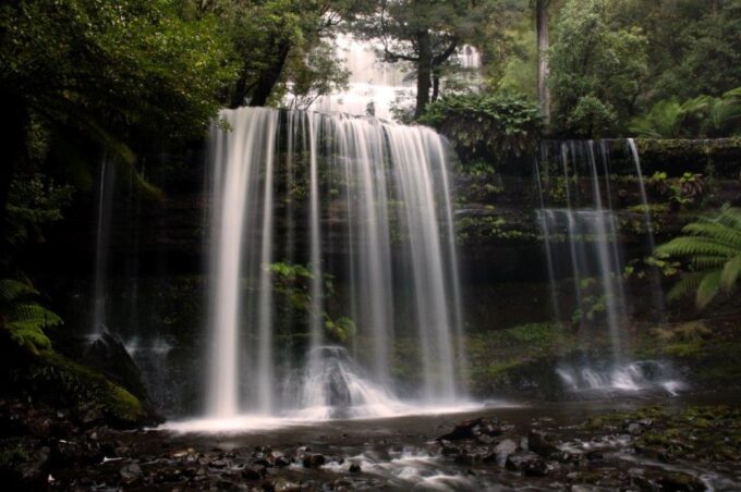From Hobart: Mt. Field, Mt. Wellington and Wildlife Day Tour - Inclusions and Exclusions