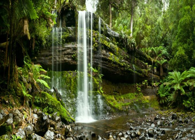 From Hobart: Mt. Field National Park and Russell Falls - Enjoying Morning Tea and Refreshments