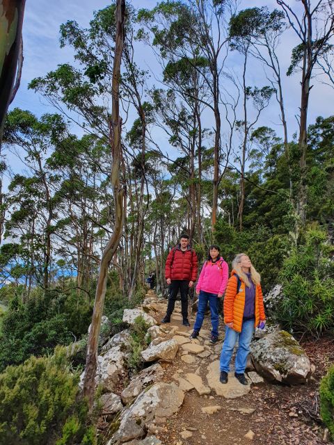 From Hobart: Mt Wellington Morning Walking Tour - Key Points