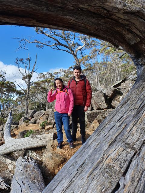 From Hobart: Mt Wellington Morning Walking Tour - Experience and Insights