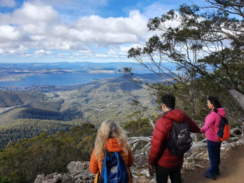 From Hobart: Mt Wellington Morning Walking Tour - Requirements and Recommendations