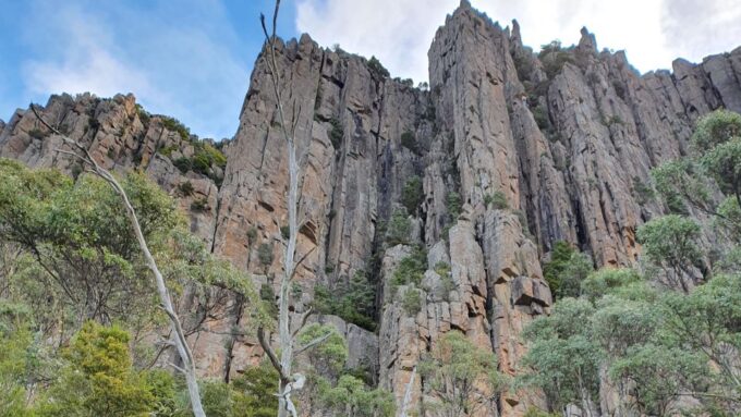 From Hobart: Mt Wellington Morning Walking Tour - Customer Feedback