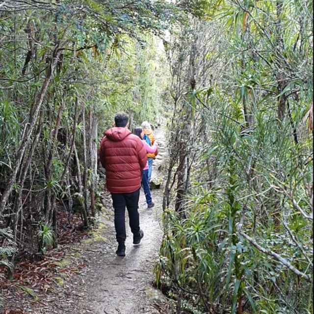 From Hobart: Mt Wellington Morning Walking Tour - Recap