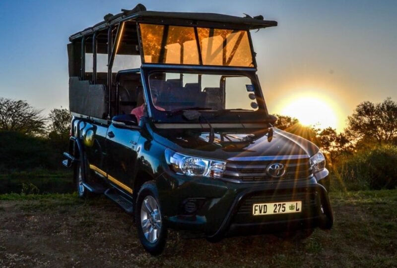 From Hoedspruit: Kruger National Park Full-Day Safari - Nature Guide Expertise