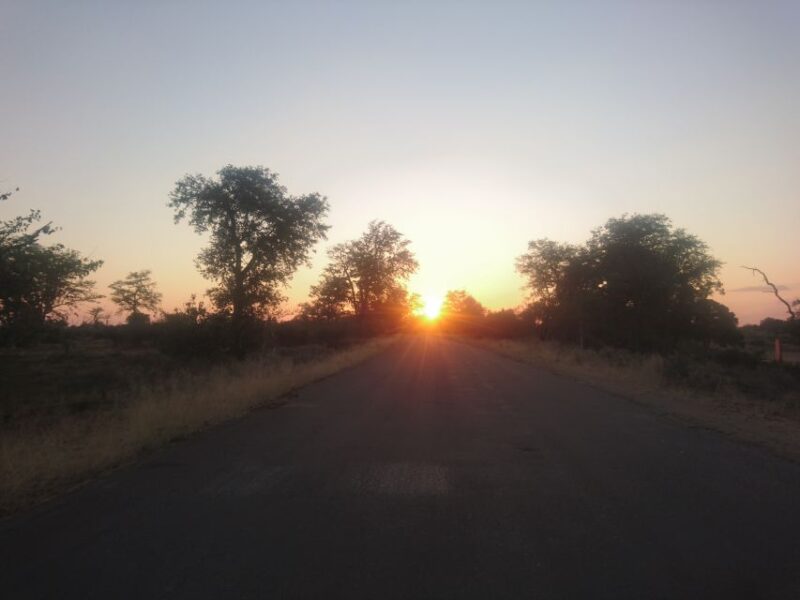 From Hoedspruit: Kruger National Park Safari With Transfer - Relaxation in Safari Vehicle