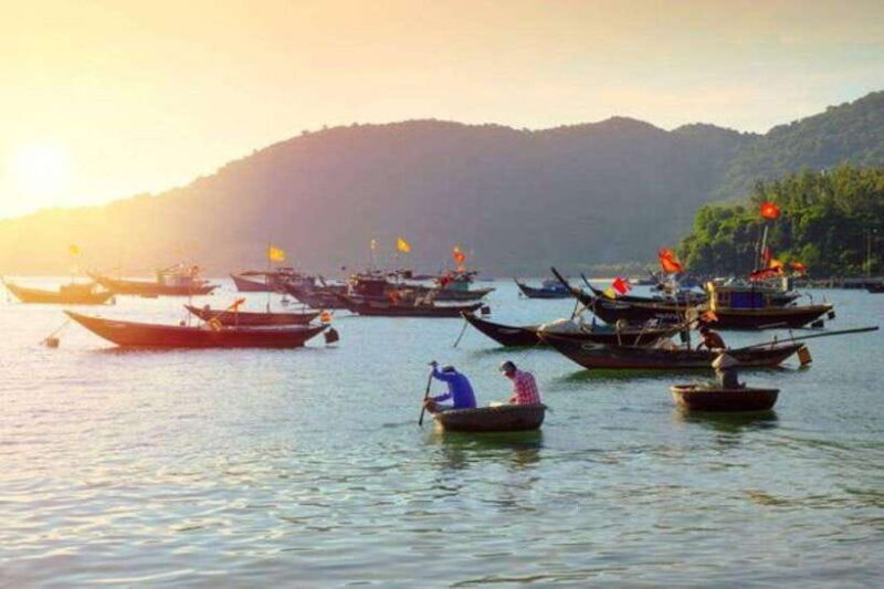 From Hoi An: Cu Lao Cham Day Trip With Seafood Lunch - Key Points