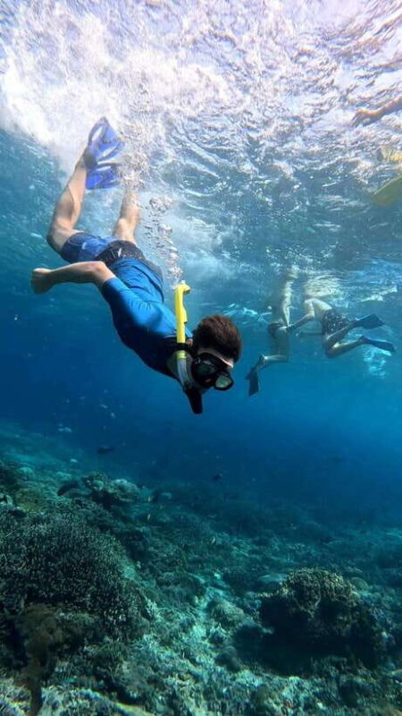 From Hoi An: Cu Lao Cham Day Trip With Seafood Lunch - Exploring the Marine Protected Area