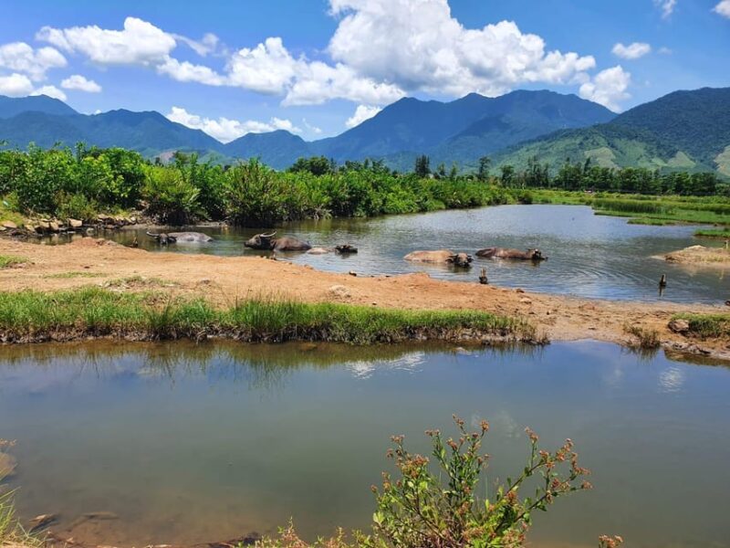 From Hoi An/Danang: Hai Van Pass Motorbike Tour to Hue - Key Stops