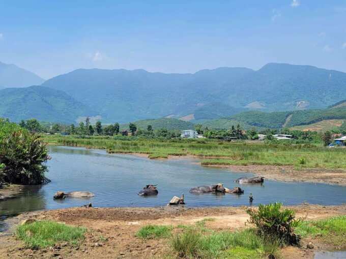 From Hoi An: Hai Van Pass Loop Tour By Easyrider - Since You Asked