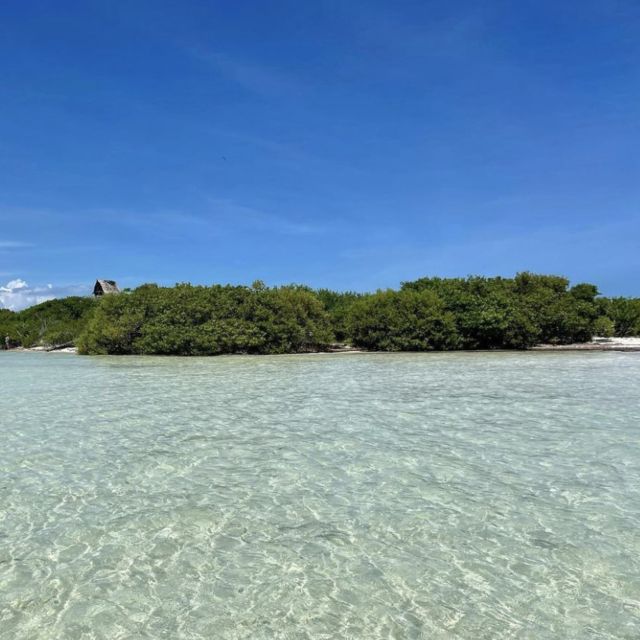 From Holbox: 3-Islands Wildlife and Swimming Boat Tour - Key Points