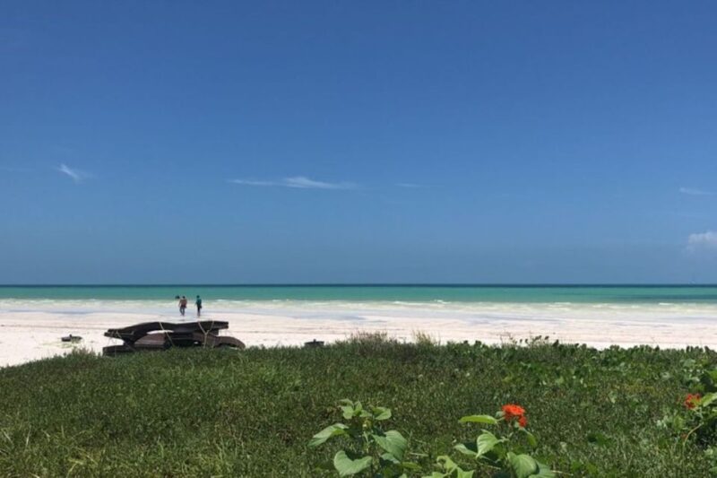 From Holbox: Private Transportation to Cancun - Communication and Accessibility