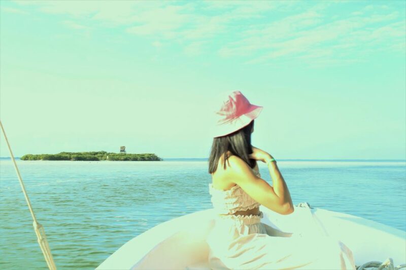 From Holbox: Speedboat Cruise With Lagoon Swim - Pricing and Inclusions