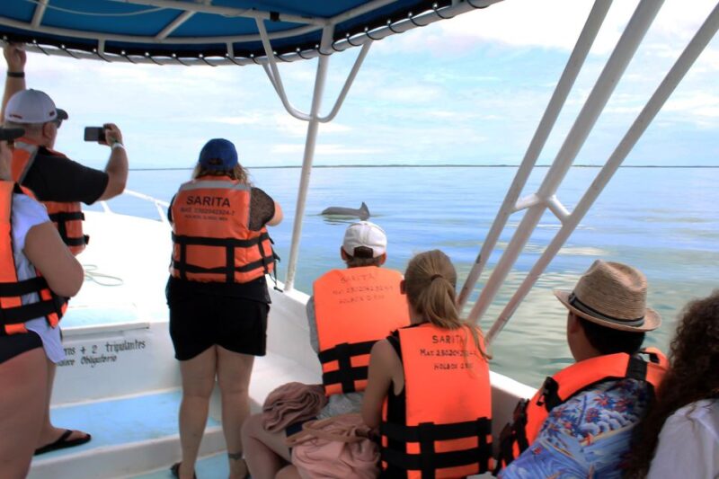 From Holbox: Speedboat Cruise With Lagoon Swim - Customer Reviews and Feedback