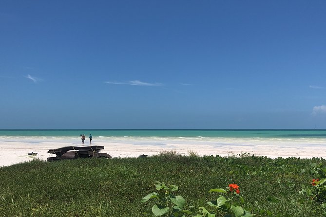 From Holbox to Cancun Private Transportation - Accessibility Options