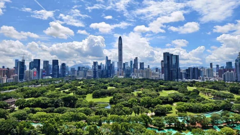 From Hong Kong: Shenzhen Private Historic Tour &Visa Support - Exploring Shenzhen from Hong Kong: A Balanced Look at the Private Historic Tour & Visa Support