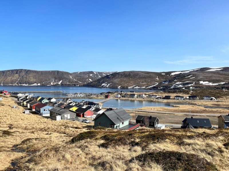 From Honningsvåg: North Cape and King Crabs Tour - Key Points