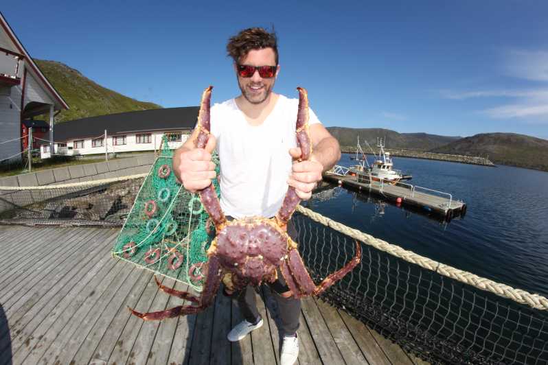 From Honningsvåg: North Cape and King Crabs Tour - Highlights and Experiences