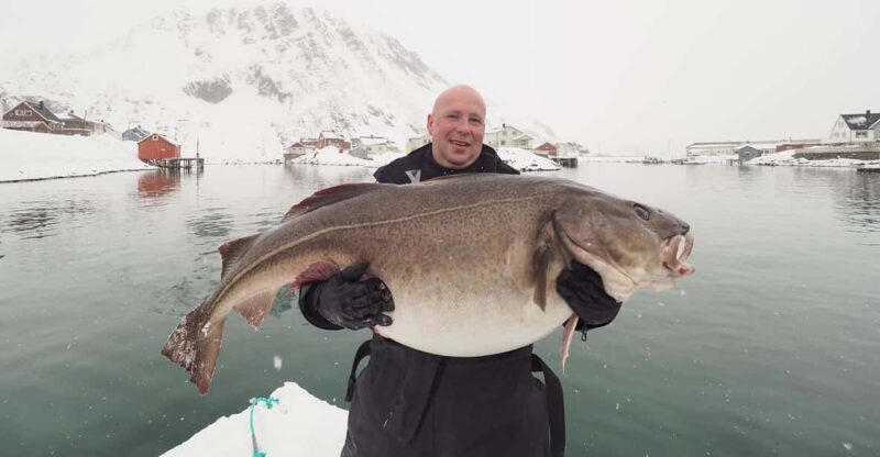 From Honningsvåg: North Cape Private Fishing Boat Trip - Experience Highlights
