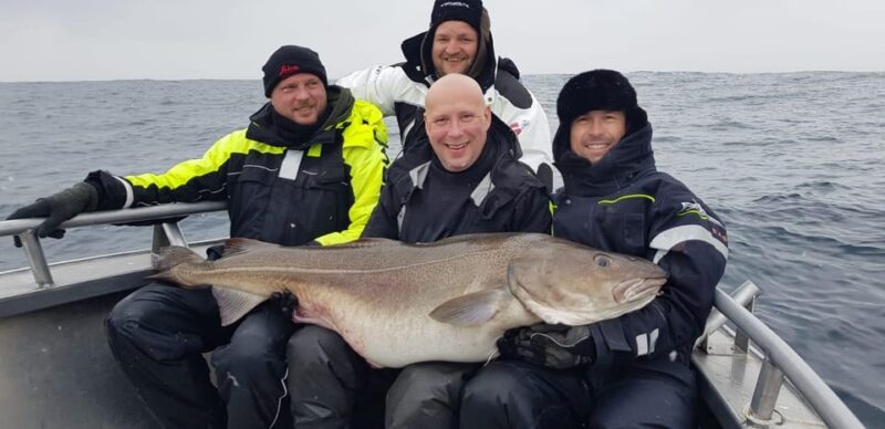 From Honningsvåg: North Cape Private Fishing Boat Trip - Wildlife Spotting Opportunities