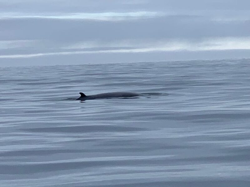 From Honningsvåg: North Cape Private Fishing Boat Trip - Dining and Preparation Options