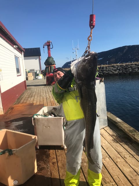 From Honningsvåg: North Cape Private Fishing Boat Trip - Booking and Important Information