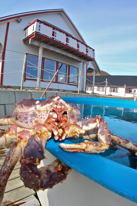 From Honningsvåg: VIP North Cape and Kingcrab Tour - Customer Feedback