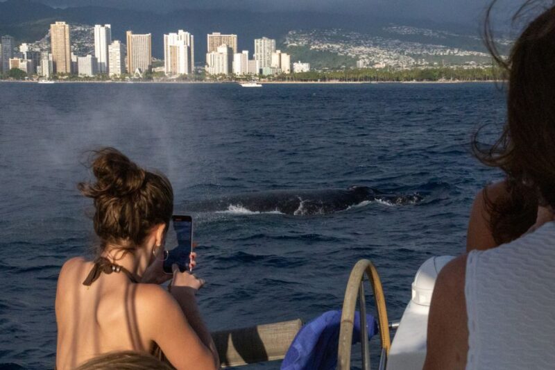 From Honolulu: Private Catamaran Cruise With Captain & Crew - Meeting Point and Customer Reviews