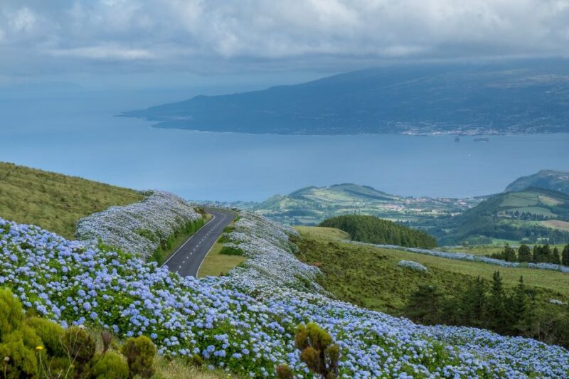 From Horta: Guided Faial Island Tour - Experience Highlights
