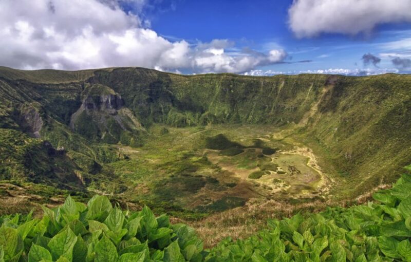 From Horta: Guided Faial Island Tour - Important Information