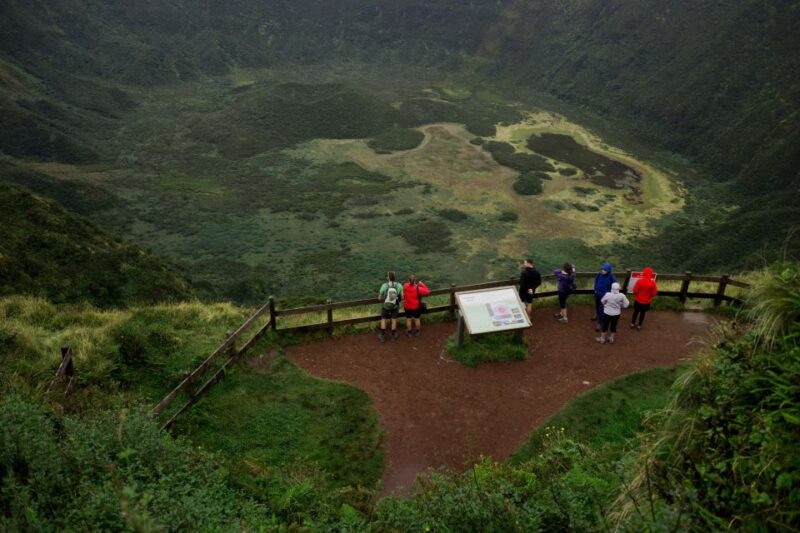 From Horta: Guided Faial Island Tour - Customer Reviews