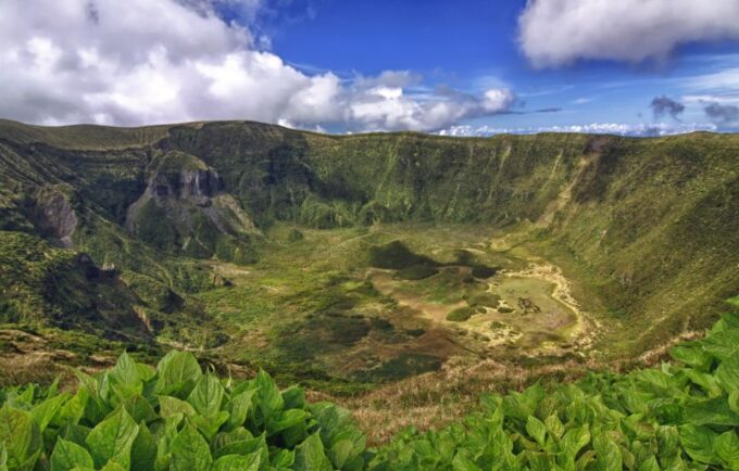 From Horta: Guided Faial Island Tour - Availability and Booking