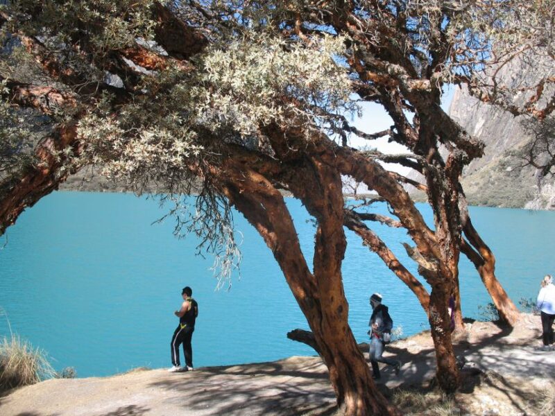 From Huaraz: Guided Hiking Tour of Llanganuco Lakes & Entry - Important Information