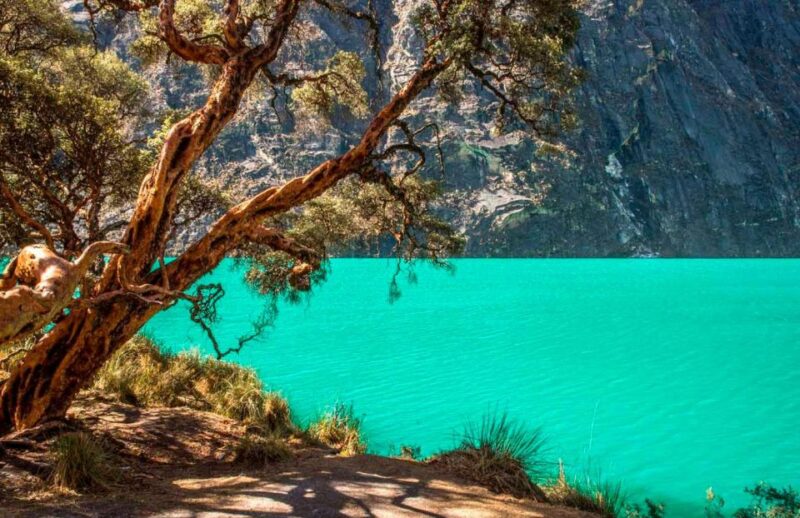 From Huaraz || Llanganuco Lagoon - Callejón De Huaylas || - Duration and Pricing