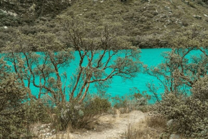 From Huaraz: Tour to Llanganuco Lakes (Chinancocha Lake) - Key Points