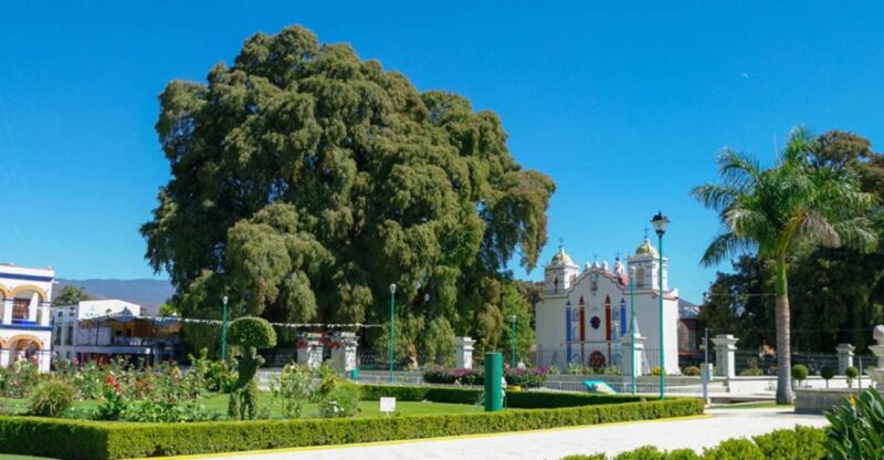 From Huatulco: 2 Days Excursion to Oaxaca City - Cultural Experiences