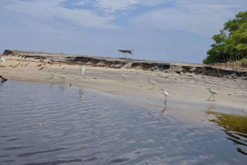 From Huatulco: Beach Horseback Riding Experience - Activity Overview