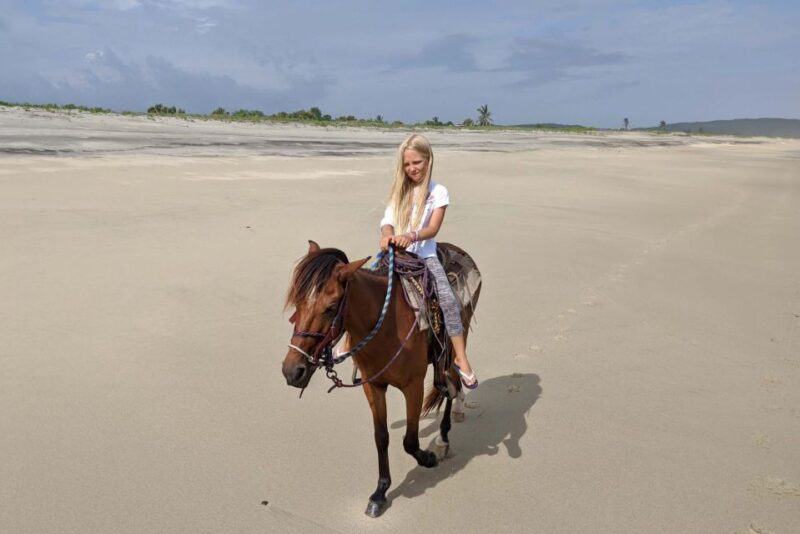 From Huatulco: Beach Horseback Riding Experience - Inclusions and Transportation