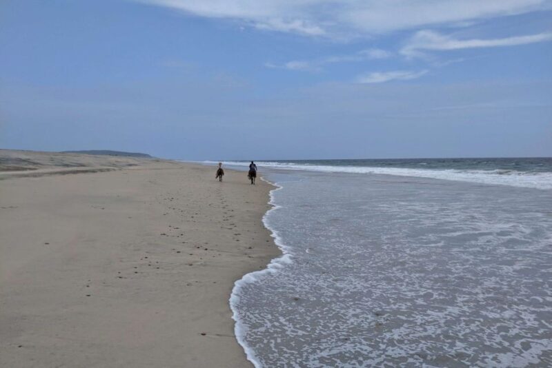 From Huatulco: Beach Horseback Riding Experience - Frequently Asked Questions