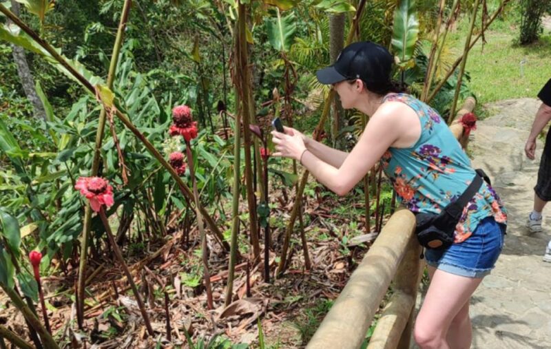 From Huatulco: Coffee and Mezcal Tour - Pricing and Duration