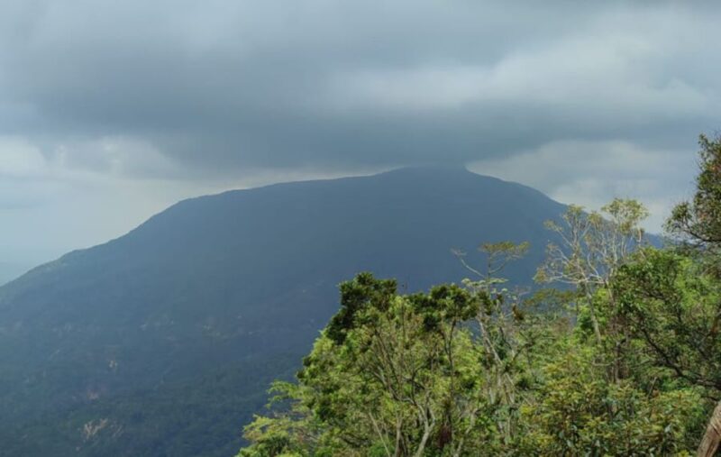 From Huatulco: Coffee and Mezcal Tour - Live Tour Guide