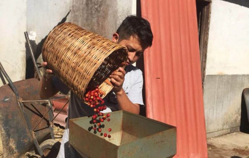From Huatulco: Coffee and Mezcal Tour - Booking Information