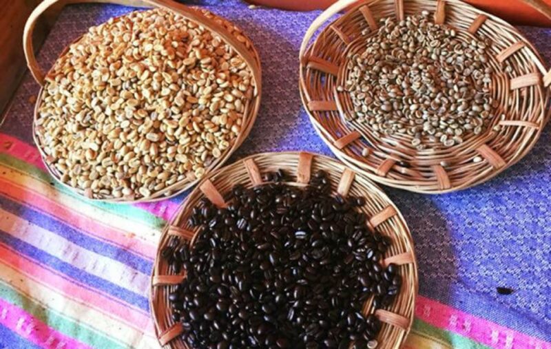 From Huatulco: Coffee and Mezcal Tour - Frequently Asked Questions