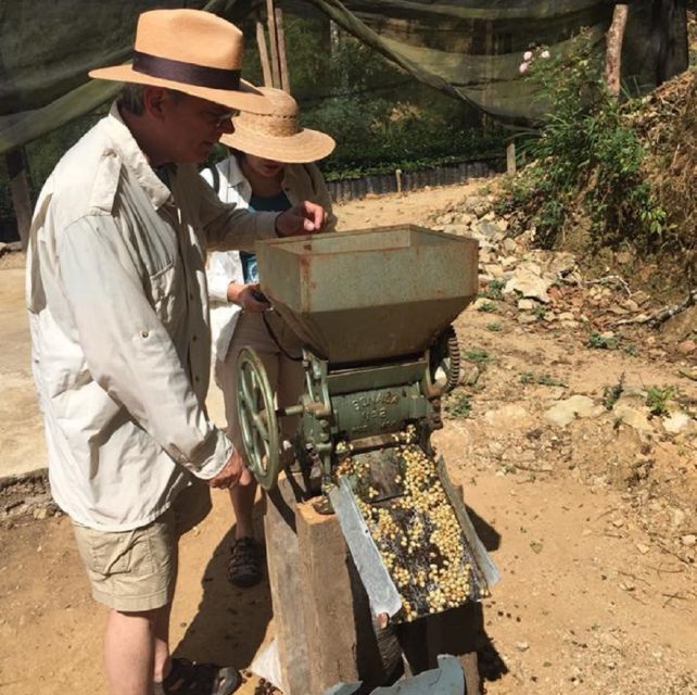 From Huatulco: Coffee Private Experience - Tour Details