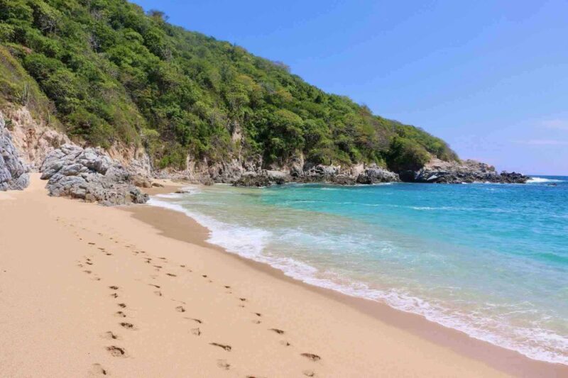 From Huatulco: Private 5 Bays Boat Tour - Key Points