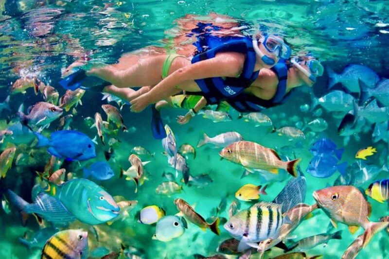 From Huatulco: Private 7 Bays Boat Tour - Key Points